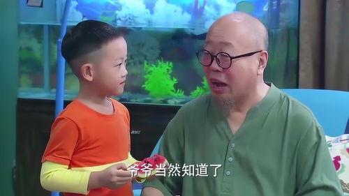 爸爸吃瓜吐籽视频大全集,趣味横生全家欢乐时光