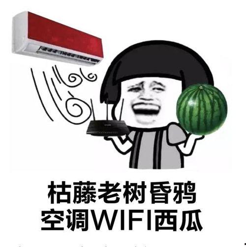 外国人看吃瓜自由吗视频,揭秘网络舆论场的国际观察