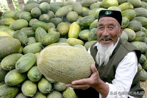 吐鲁番吃哈密瓜好吃吗视频,舌尖上的甜蜜诱惑