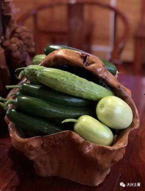 最新的网红吃瓜视频下载