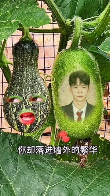 吃瓜阿婆特效视频,趣味横生，笑料百出